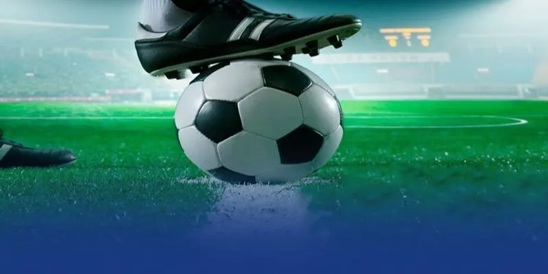 chinh sach rieng tu bia