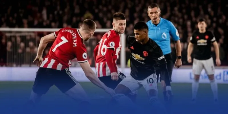 meo soi keo doi hinh ra san